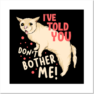 I've Told You Don't Bother Me Posters and Art